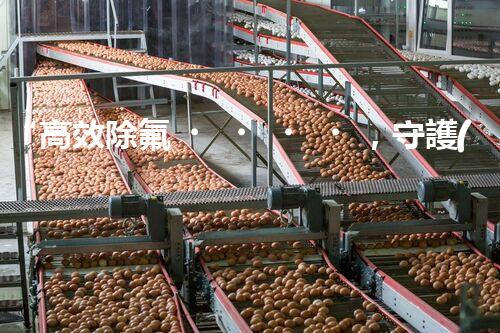 “高效除氟，守護(hù)碧水藍(lán)天——廢水中氟離子處理新篇章”
